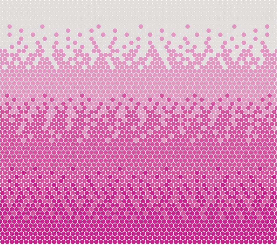 1074 Pink Ombre